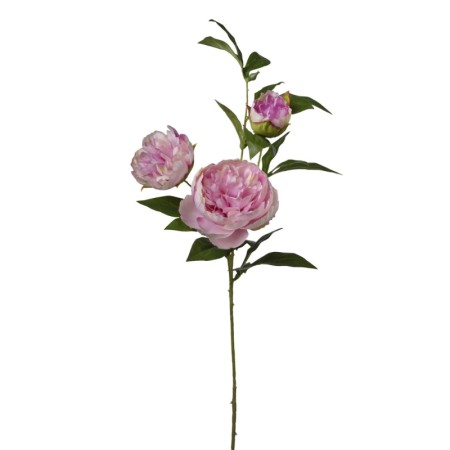 Peonia ramo h80 cm Beauty